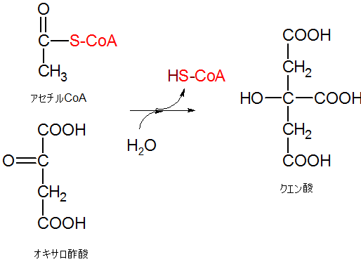 クエン酸への反応